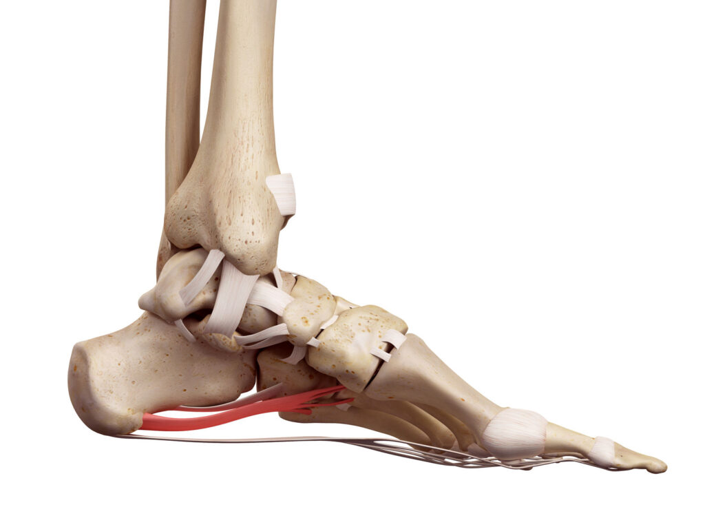 home remedies for heel pain 