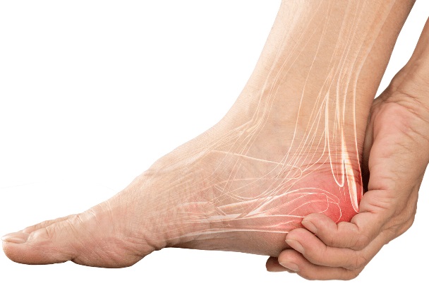 pain in the back of the heel