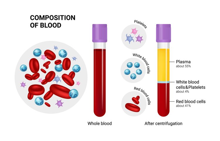 PRP composition of blood.